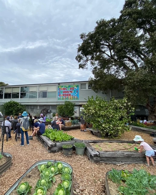 Members working together among the garden beds