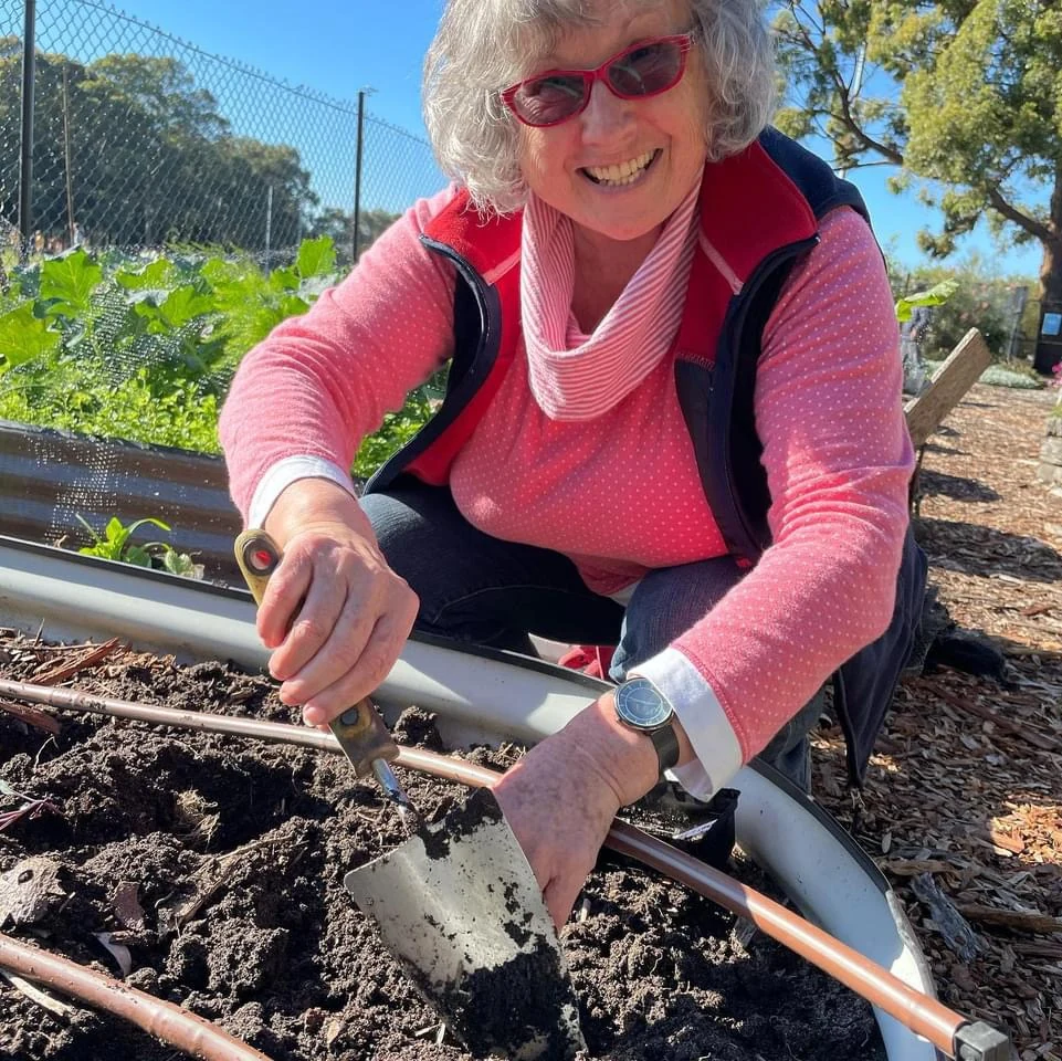 A community garden member tending a raised garden bed